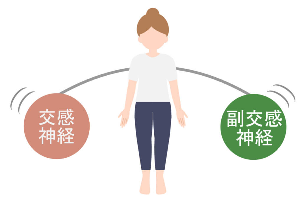 自律神経はバランスを保ちながら体を調節