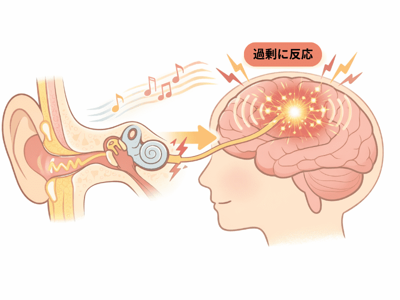 脳の反応のイメージ